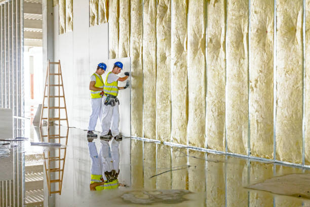 Best Cellulose Insulation in River Falls, WI